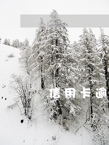 信用卡逾期了警察会管吗