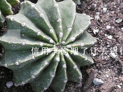 信用卡逾期了让去银行 信用卡逾期了让去银行