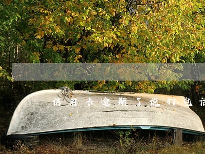 信用卡逾期了说打电话拒接 信用卡逾期了说打电话拒接