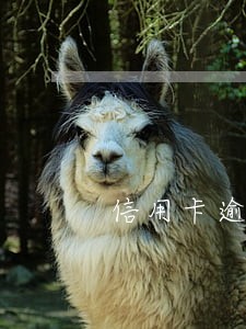 信用卡逾期了说立案了怎么查