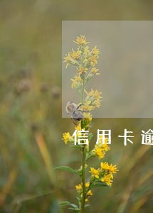 信用卡逾期了说要来家里调查