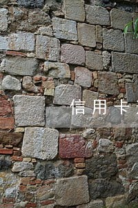 信用卡逾期了负债五万 信用卡逾期了负债五万