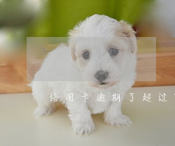 信用卡逾期了超过宽限期 信用卡逾期了超过宽限期
