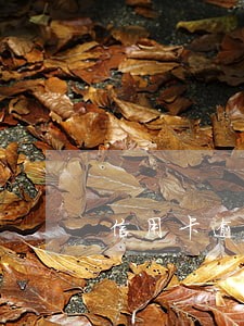 信用卡逾期了过澳门有影响吗 信用卡逾期了过澳门有影响吗