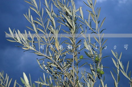 信用卡逾期了还200可以吗 信用卡逾期了还200可以吗