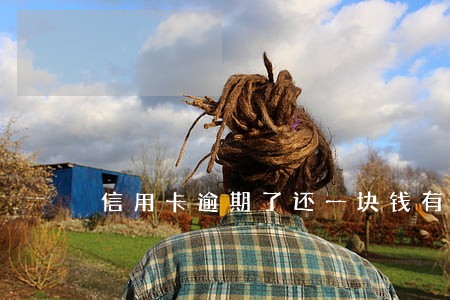 信用卡逾期了还一块钱有用吗 信用卡逾期了还一块钱有用吗