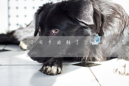 信用卡逾期了还上之后怎么办 信用卡逾期了还上之后怎么办
