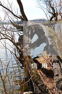 信用卡逾期了还上了下次还能用吗