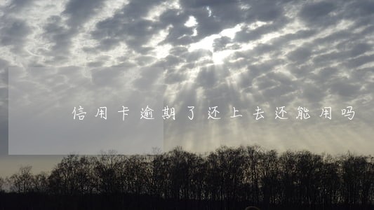 信用卡逾期了还上去还能用吗 信用卡逾期了还上去还能用吗