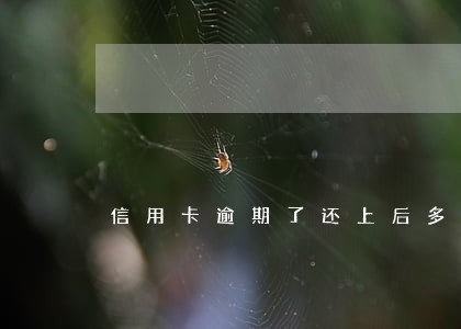 信用卡逾期了还上后多久恢复征信 信用卡逾期了还上后多久恢复征信