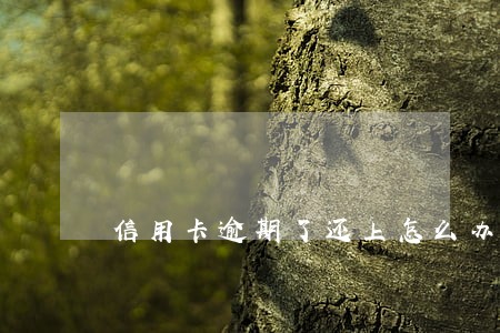 信用卡逾期了还上怎么办