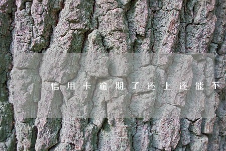 信用卡逾期了还上还能不能用 信用卡逾期了还上还能不能用