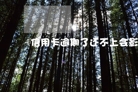 信用卡逾期了还不上会影响孩子 信用卡逾期了还不上会影响孩子