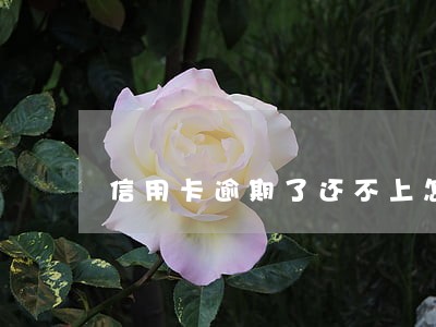 信用卡逾期了还不上怎么回事