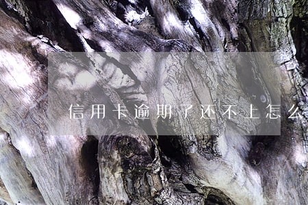 信用卡逾期了还不上怎么处理 信用卡逾期了还不上怎么处理
