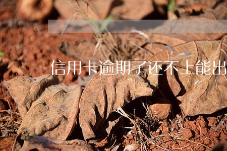 信用卡逾期了还不上能出境吗