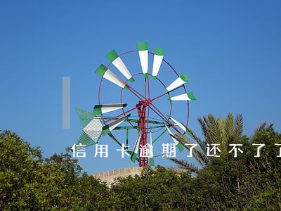 信用卡逾期了还不了了 信用卡逾期了还不了了