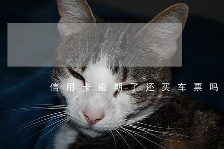 信用卡逾期了还买车票吗 信用卡逾期了还买车票吗