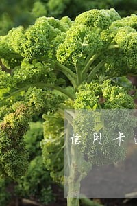 信用卡逾期了还了4年多 信用卡逾期了还了4年多