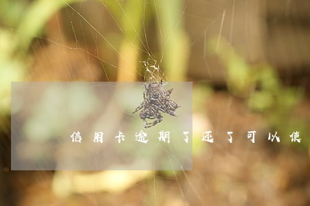 信用卡逾期了还了可以使用吗