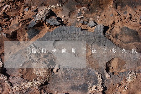 信用卡逾期了还了多久能用 信用卡逾期了还了多久能用