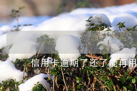 信用卡逾期了还了能再用吗