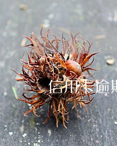 信用卡逾期了还了能用吗