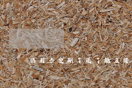 信用卡逾期了还了能直接注销吗 信用卡逾期了还了能直接注销吗