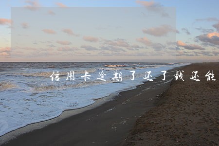 信用卡逾期了还了钱还能用吗 信用卡逾期了还了钱还能用吗