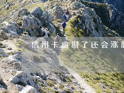 信用卡逾期了还会涨额度吗 信用卡逾期了还会涨额度吗
