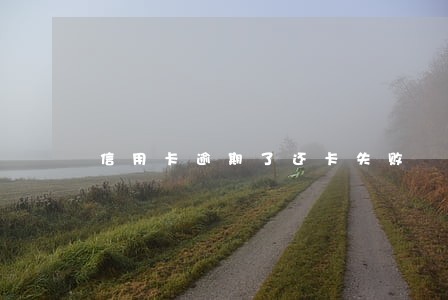 信用卡逾期了还卡失败 信用卡逾期了还卡失败