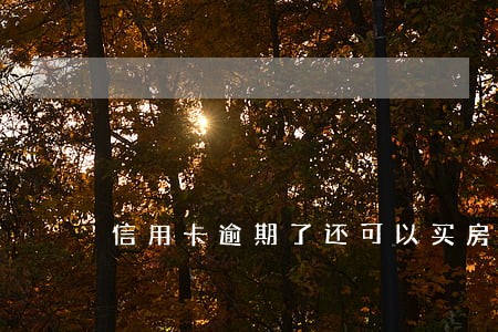 信用卡逾期了还可以买房吗