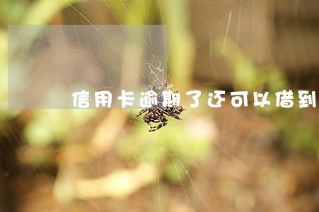 信用卡逾期了还可以借到钱吗 信用卡逾期了还可以借到钱吗