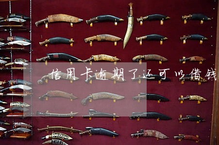 信用卡逾期了还可以借钱吗 信用卡逾期了还可以借钱吗