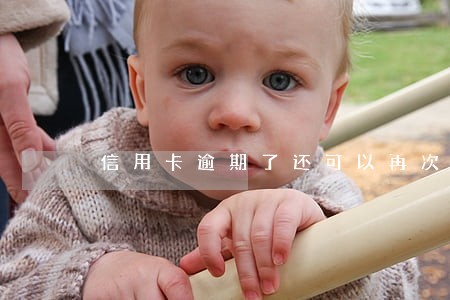 信用卡逾期了还可以再次申请吗 信用卡逾期了还可以再次申请吗