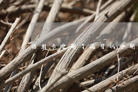 信用卡逾期了还可以分期么 信用卡逾期了还可以分期么