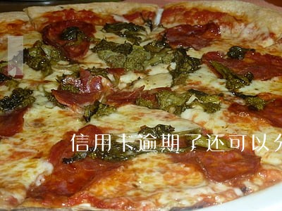 信用卡逾期了还可以分期电车 信用卡逾期了还可以分期电车