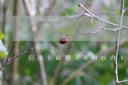 信用卡逾期了还可以办卡吗