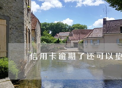 信用卡逾期了还可以垫还吗