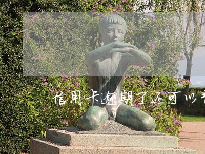 信用卡逾期了还可以帮还吗 信用卡逾期了还可以帮还吗