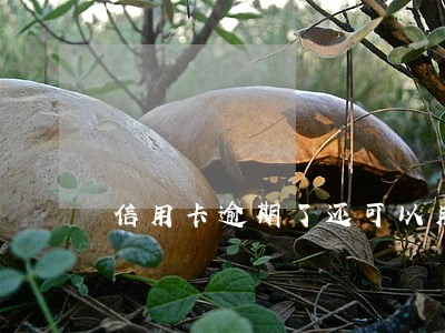 信用卡逾期了还可以用储值卡吗 信用卡逾期了还可以用储值卡吗