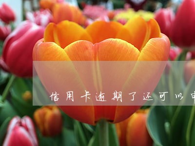 信用卡逾期了还可以申请延期吗