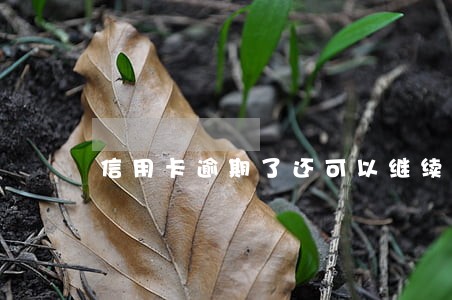 信用卡逾期了还可以继续供楼吗 信用卡逾期了还可以继续供楼吗