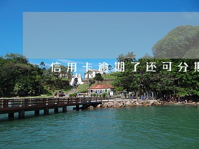 信用卡逾期了还可分期付款