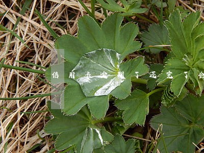 信用卡逾期了还完了会影响征信吗 信用卡逾期了还完了会影响征信吗