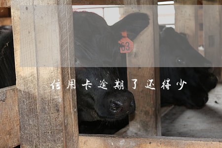 信用卡逾期了还得少 信用卡逾期了还得少
