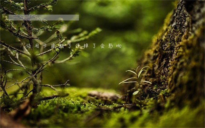 信用卡逾期了还掉了会影响 信用卡逾期了还掉了会影响