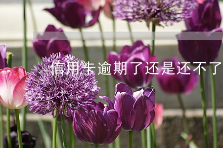 信用卡逾期了还是还不了怎么办