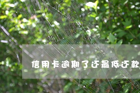 信用卡逾期了还最低还款会怎么样
