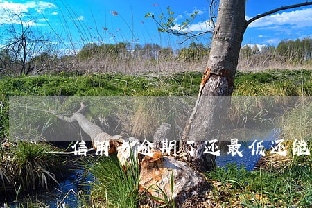 信用卡逾期了还最低还能用吗